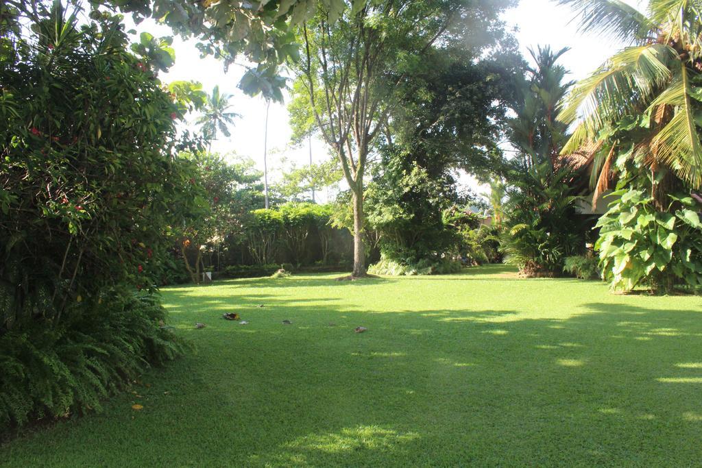 פיליינדלה Blue Water Villa מראה חיצוני תמונה